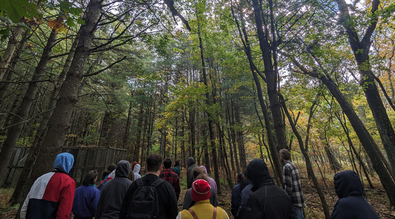 UNCG biology students in the woods